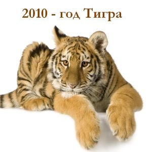 1_tigra102.jpg