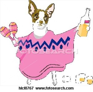 1_tequilia-drinking-chihuahua_~HLCL0767.jpg