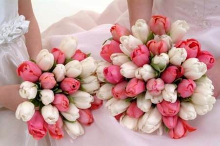 1_TulipBouquet.91193426.jpg