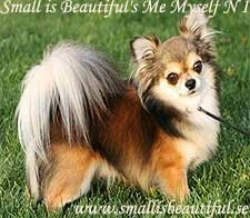 1_small_is_beautiful_s_me_mys.jpg