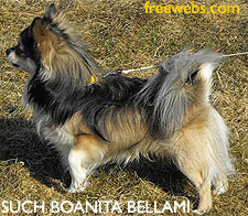 1_such_boanita_bellami.jpg