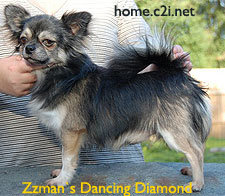 1_zzman_s_dancing_diamond.jpg