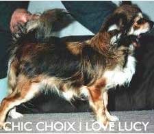 1_chic_choix_i_love_lucy.jpg