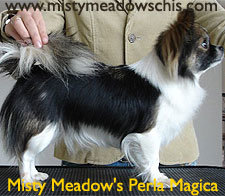 1_misty_meadow_s_perla_magica.jpg