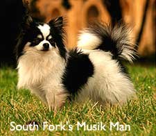 1_south_fork_s_musik_man.jpg