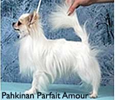 1_pahkinan_parfait_amour.jpg