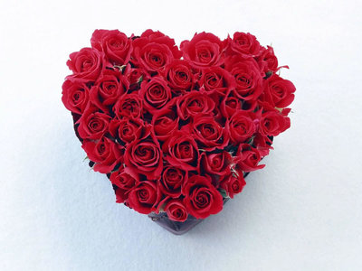 1_red_rose_heart-1024.jpg